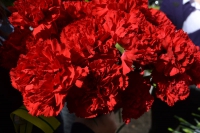 8 сентября день памяти жертв блокады ленинграда