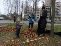 22 октября в Зеленогорске прошел День благоустройства