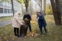22 октября в Зеленогорске прошел День благоустройства