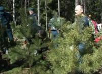 Всероссийский День посадки леса в Зеленогорске
