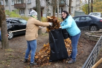 20 октября в Зеленогорске прошел день благоустройства