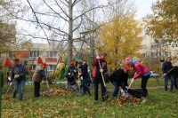 20 октября в Зеленогорске прошел день благоустройства