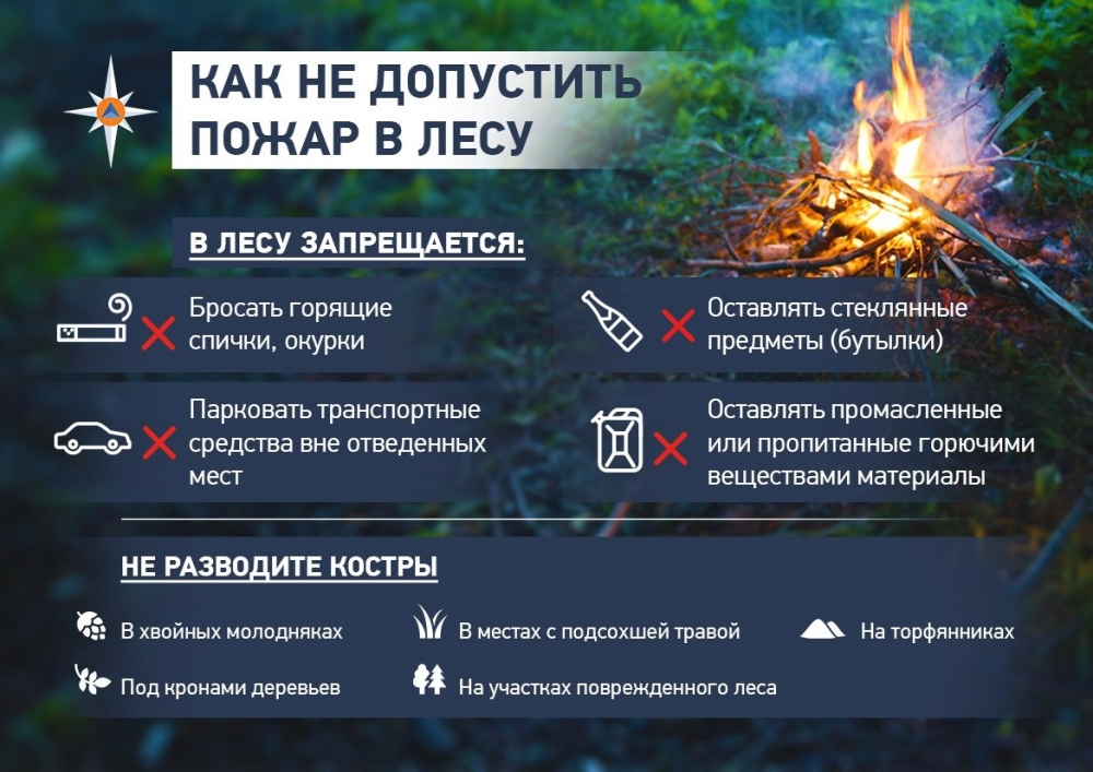 Памятки "Как не допустить пожар в лесу" и  "Как обезопасить свой дачный участок от пожара"