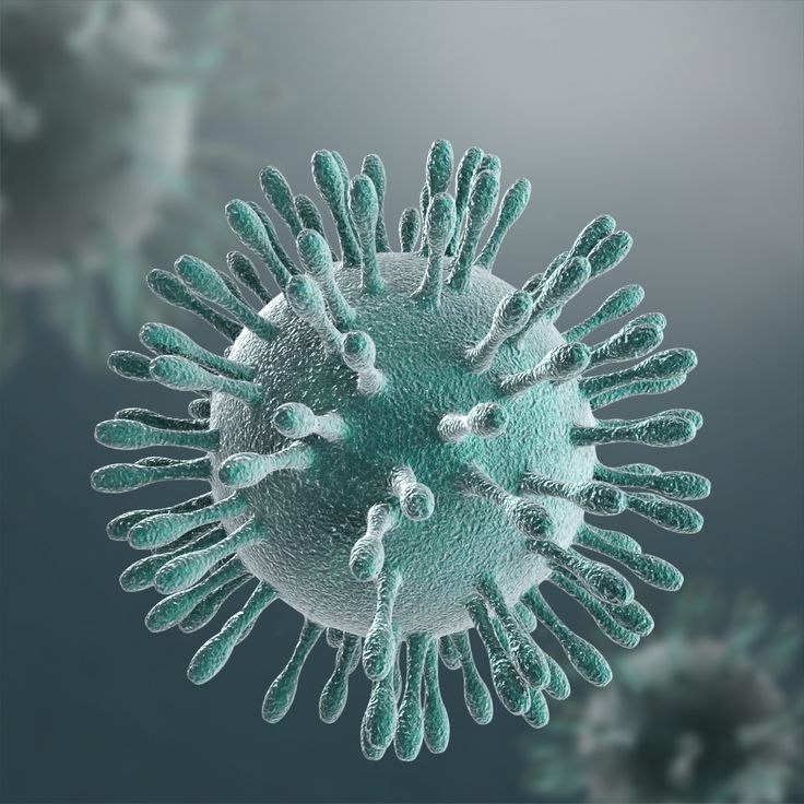 Рекомендации ВОЗ для населения в связи c распространением нового коронавируса: мифы и ложные представления