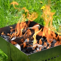 Разжигание костров и использование мангалов на территориях зеленых насаждений запрещено!