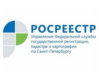 Шесть объектов образования Санкт-Петербурга прошли кадастровый учёт в сентябре 2019