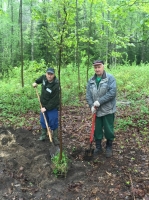 Всероссийский день посадки леса в Зеленогорске