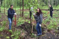 Всероссийский день посадки леса в Зеленогорске