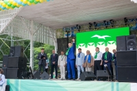 День Зеленогорска - 2017 год