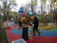 21 октября в Зеленогорске прошел традиционный осенний День благоустройства