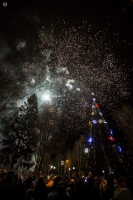 Новогодняя ночь в Зеленогорске