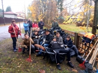 19 октября в Зеленогорске прошел осенний День благоустройства