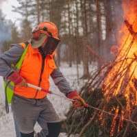 В Курортном районе тушили условное возгорание леса